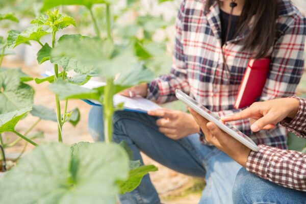 España y la UE convocan ayudas al asesoramiento para la digitalización del sector agroalimentario y forestal por 4,7 M€