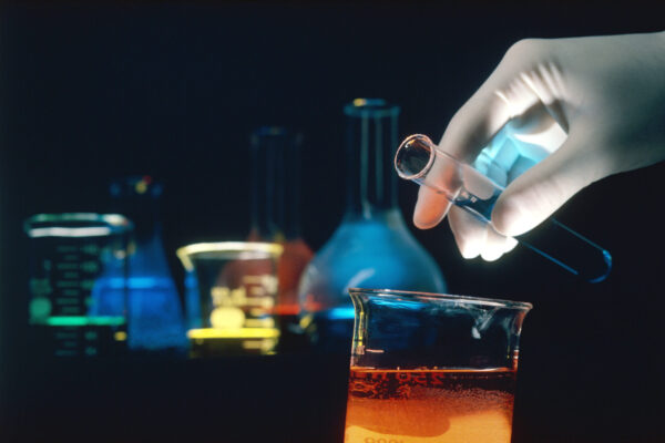 Cinco proyectos de investigación en el sector vitivinícola