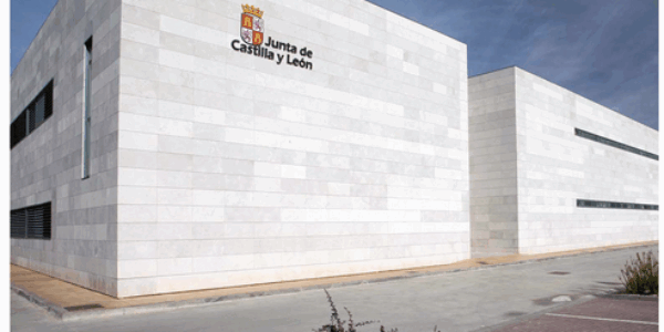 Cuatro nuevas variedades de uva resistentes a mildiu y oídio en Castilla y León