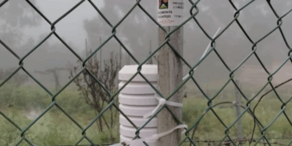 La D.O. Tacoronte-Acentejo inicia un estudio para medir el frío efectivo en sus viñedos