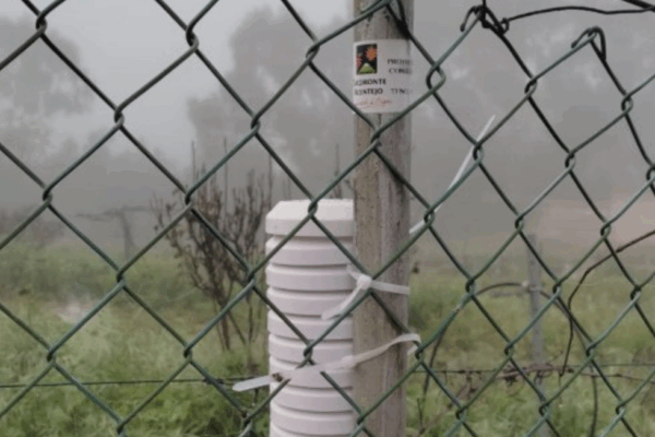 La D.O. Tacoronte-Acentejo inicia un estudio para medir el frío efectivo en sus viñedos