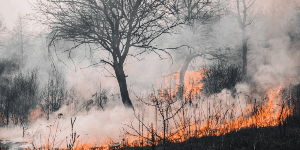 La Comisión Europea impulsa un nuevo plan para prevenir y responder a incendios cada vez más destructivos