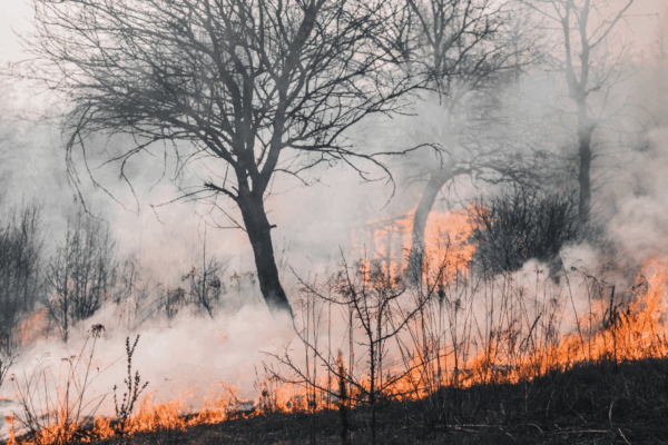 La Comisión Europea impulsa un nuevo plan para prevenir y responder a incendios cada vez más destructivos