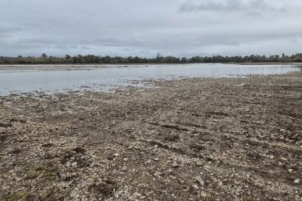 Agricultura abona 23,9 millones en ayudas al seguro agrario tras los daños por borrascas