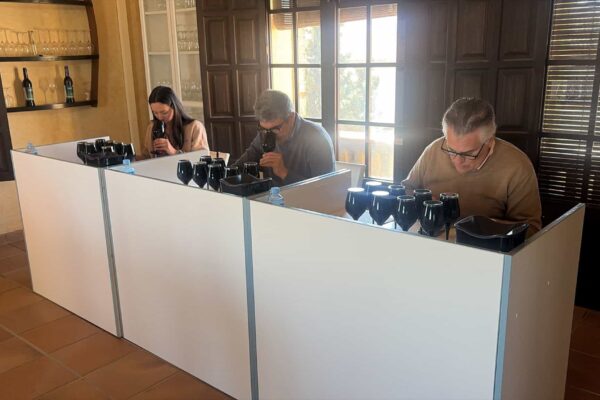 El Condado de Huelva califica la cosecha 2025 como “Muy Buena”