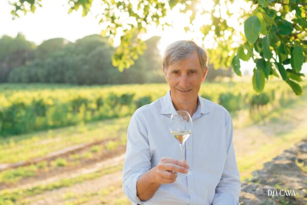 La D.O.Cava elige a los doce vocales que formarán parte del pleno del Consejo Regulador