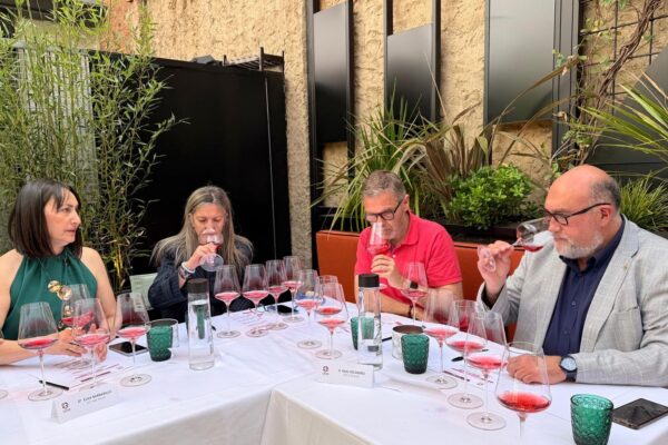 Los vinos de la D.O. León revalidan la calificación de excelente en la añada 2025