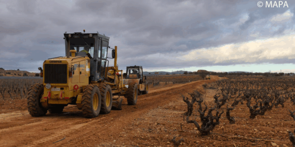 Aprobado el convenio para la ejecución del plan de seguros agrarios 2026, con un presupuesto de 315 M€