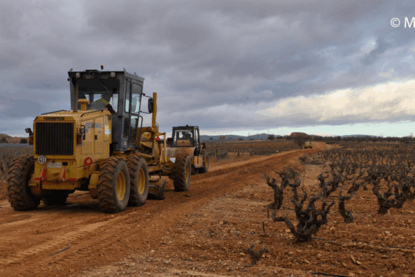 Aprobado el convenio para la ejecución del plan de seguros agrarios 2026, con un presupuesto de 315 M€