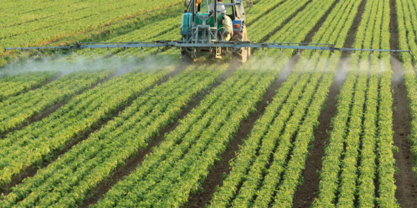 Los fungicidas y bactericidas concentran más de la mitad del uso de fitosanitarios en la agricultura española