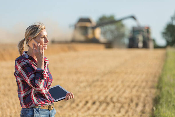 La Federación Española del Vino participará en proyectos de asesoramiento digital financiados con 4,7 M€ por Agricultura.