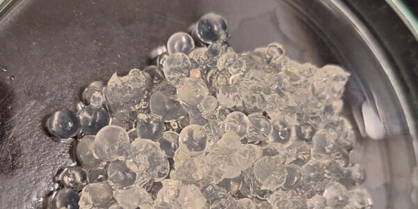 Un material elaborado con algas y cáscaras de crustáceos podría reducir la pérdida de agua y nutrientes en el suelo