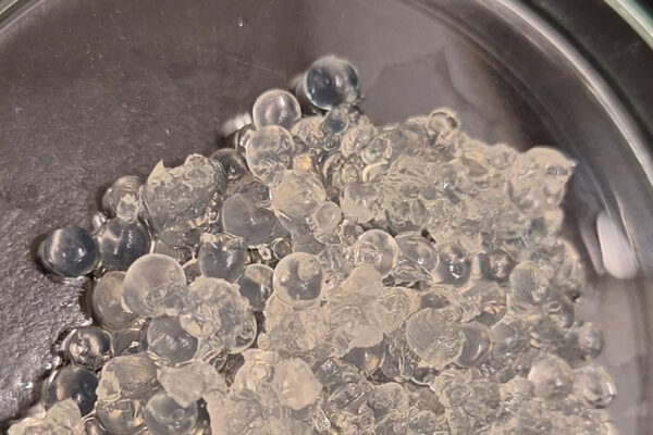 Un material elaborado con algas y cáscaras de crustáceos podría reducir la pérdida de agua y nutrientes en el suelo