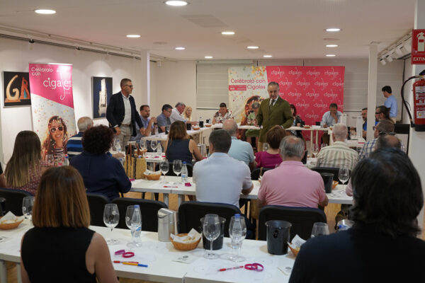 La D.O. Cigales califica la añada 2025 como Excelente