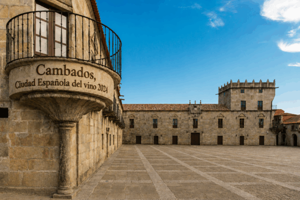 ACEVIN abre el proceso para elegir la Ciudad Española del Vino 2027