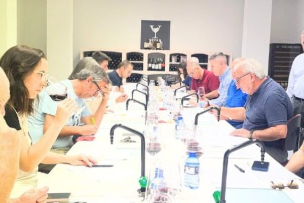 La D.O.P. Yecla califica la cosecha 2025 como ‘Muy Buena’ tras evaluar 19 vinos representativos