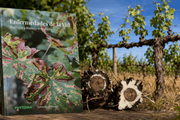 Phytoma reúne en un nuevo manual el conocimiento actualizado sobre las principales patologías del viñedo