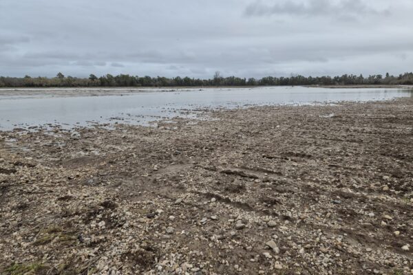 Una nueva lista provisional incorpora 943 agricultores y ganaderos con ayudas por más de 10,3 millones de euros