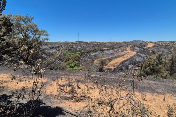 Andalucía reclama ayudas estatales tras declarar desastre natural el incendio de Huelva