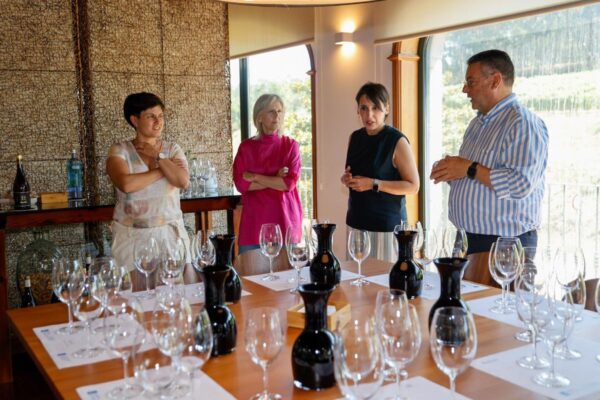 Galicia destinará 2 millones de euros a financiar la compra de uva por parte de las bodegas