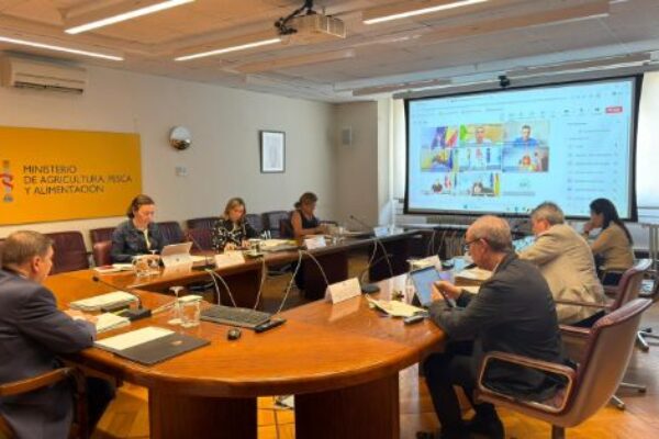 Castilla-La Mancha concentrará casi 44 millones del reparto de la Intervención Sectorial Vitivinícola aprobado por la Conferencia Sectorial