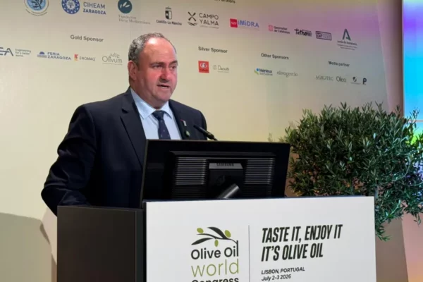 El olivar supera al viñedo en Castilla-La Mancha tras un nuevo crecimiento de la superficie cultivada