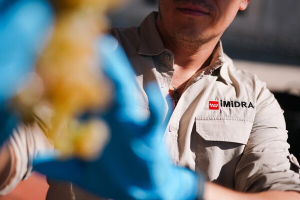 Madrid actualizará el reglamento del IMIDRA para reforzar la investigación y la innovación agroalimentaria