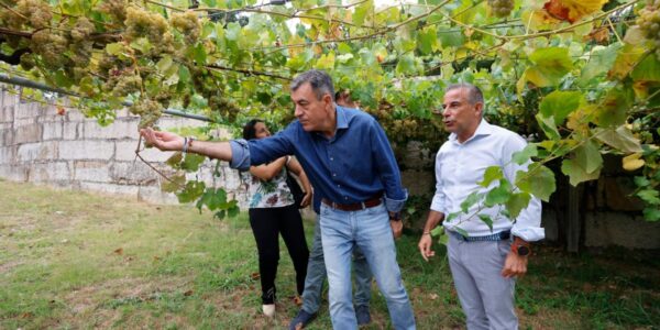 Galicia impulsa la digitalización del ciclo del vino mediante un gemelo digital de una bodega