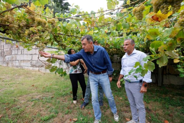 Galicia impulsa la digitalización del ciclo del vino mediante un gemelo digital de una bodega