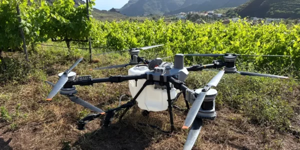 Canarias se incorpora a Penvitis+ para modernizar la viticultura heroica con inteligencia artificial y drones