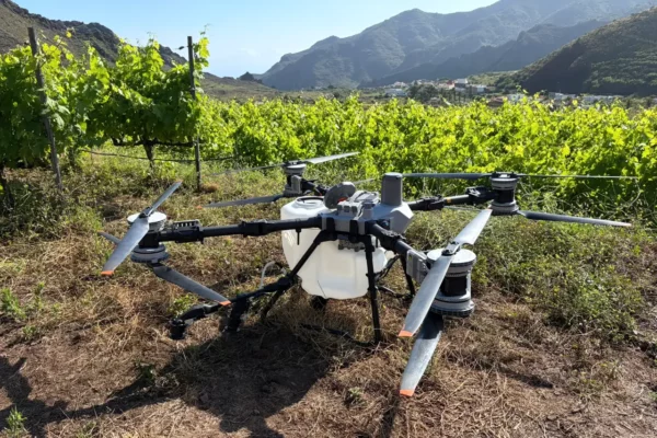 Canarias se incorpora a Penvitis+ para modernizar la viticultura heroica con inteligencia artificial y drones