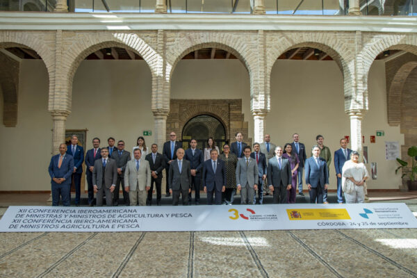 La FEV plantea una Mesa Nacional de Enoturismo para reforzar el papel del vino en la estrategia turística