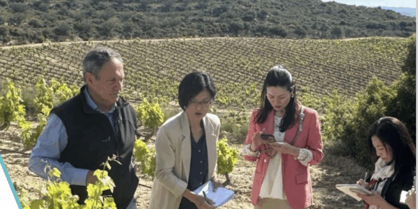 El País Vasco refuerza en 2027 la promoción exterior del vino con acciones en Europa, América y Asia