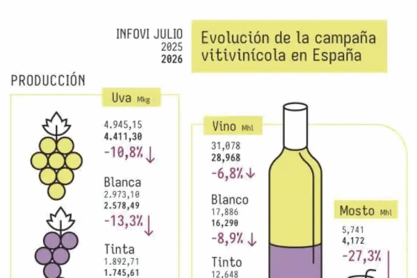 La campaña 2025/26 cierra con un 6,8% menos de producción de vino y una caída del consumo del 8,1%