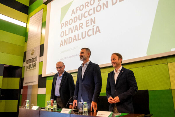 Andalucía prevé 1,26 millones de toneladas de aceite de oliva en 2026/2027