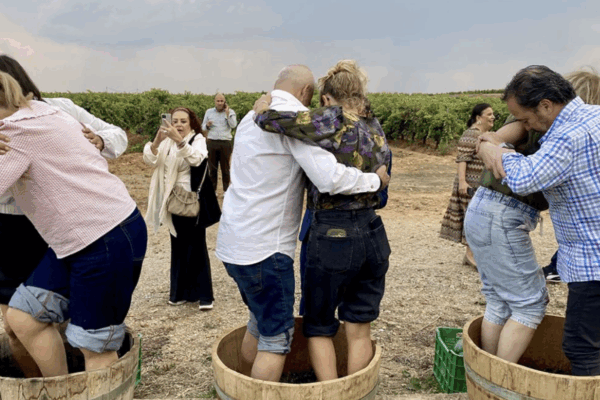 León se incorpora a las Rutas del Vino de España con 50 asociados