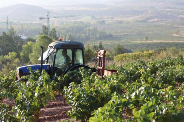 El primer plazo de ayudas para financiar préstamos agrarios en La Rioja finaliza el 10 de octubre