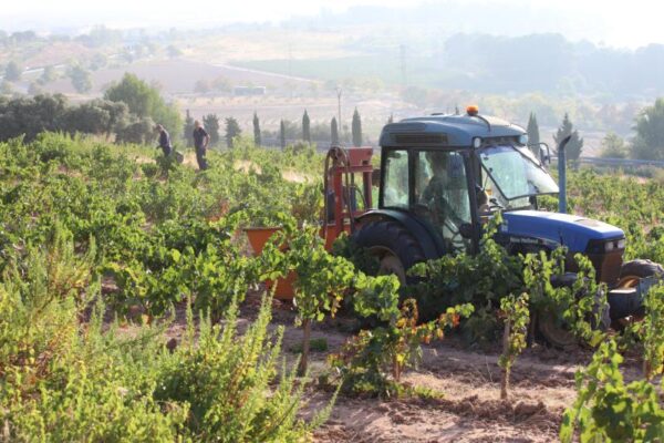 La Rioja destina 4,6 millones a nuevas ayudas para modernizar las explotaciones agrarias