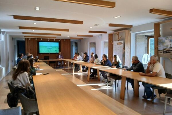 Galicia investiga nuevos sistemas para predecir la producción de uva en la D.O.P. Ribeiro